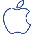 Apple Apple