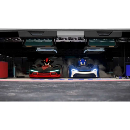 Team Sonic Racing для PS4 (русские субтитры)