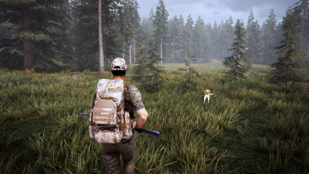 Hunting Simulator 2 для PS4 (русские субтитры)