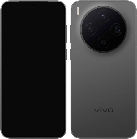 Смартфон Vivo X300 V2515 12GB/256GB международная версия (черный)