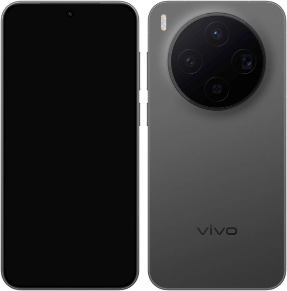 Смартфон Vivo X300 V2515 12GB/256GB международная версия (черный)