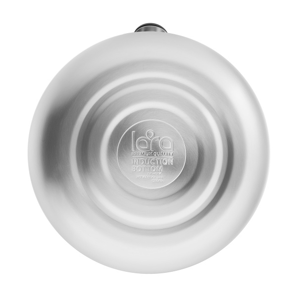 Чайник со свистком Lara LR00-80 SS (3л)