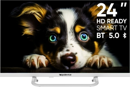 Телевизор Topdevice Frameless Neo TDTV24CS04H_WE (белый)