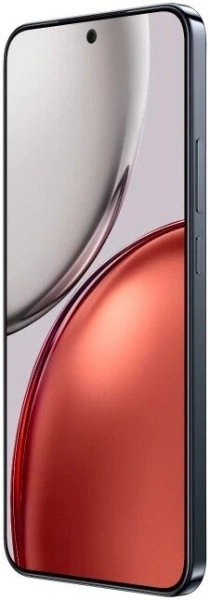 Телефон HONOR X9d 12GB/256GB международная версия (графитовый)