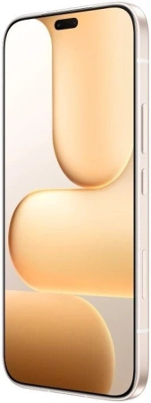 Смартфон HONOR 600 Lite 8GB/256GB международная версия (пустынное золото)