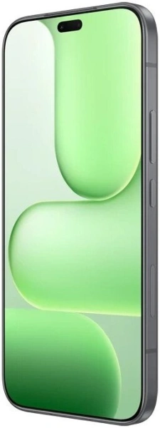 Смартфон HONOR 600 Lite 8GB/256GB международная версия (вельветовый черный)