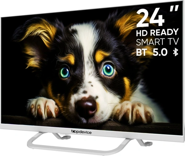 Телевизор Topdevice Frameless Neo TDTV24CS04H_WE (белый)