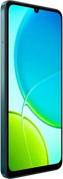 Смартфон Vivo Y04 4GB/128GB малахитовый черный (V2430)