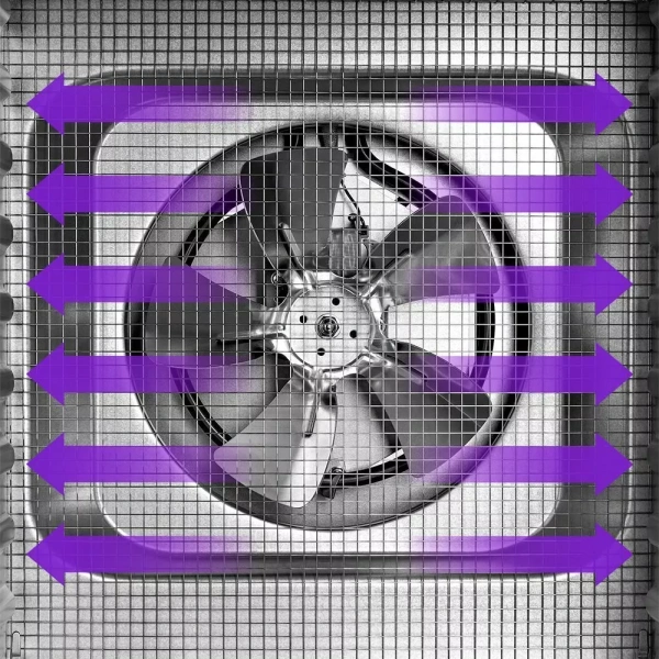 Сушилка для овощей и фруктов Kitfort KT-1965