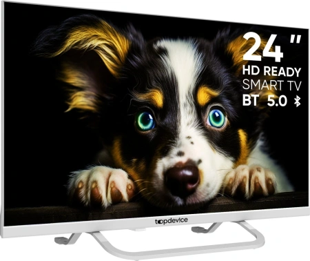 Телевизор Topdevice Frameless Neo TDTV24CS04H_WE (белый)