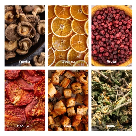 Сушилка для овощей и фруктов Kitfort KT-1918