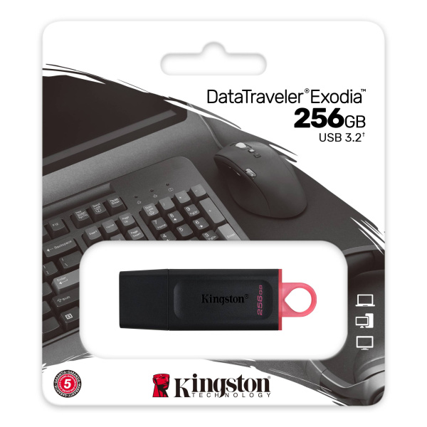 Флэшка Kingston DataTraveler Exodia 256GB USB 3.2 Gen 1